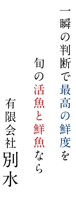 一瞬の判断で最高の鮮度を 旬の活魚と鮮魚なら 有限会社別水